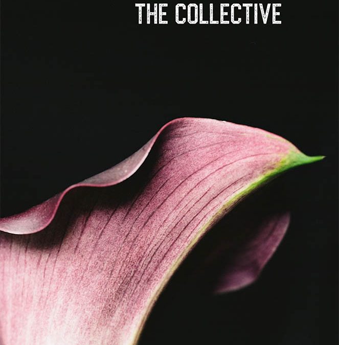 PROJECT 52 LOOKBOOK, “COLLECTIVE 2019” IS NOW AVAILABLE