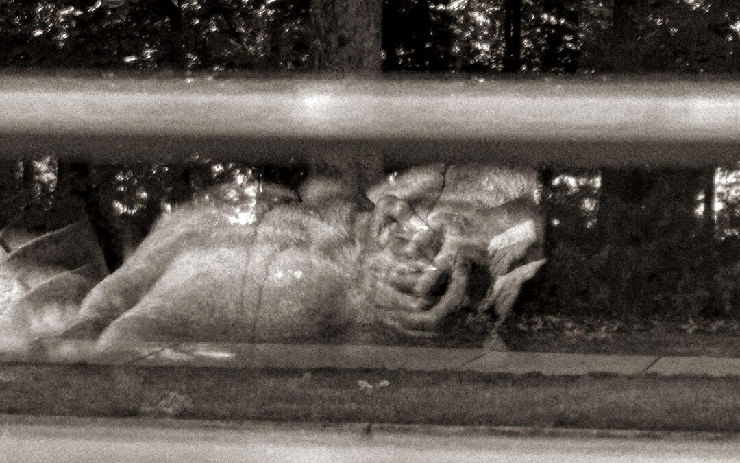 Protected: DURANGO 7-2025