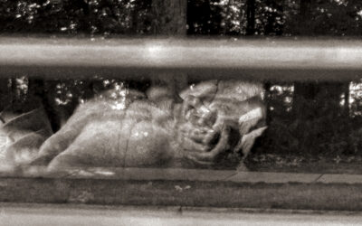 Protected: DURANGO 7-2025