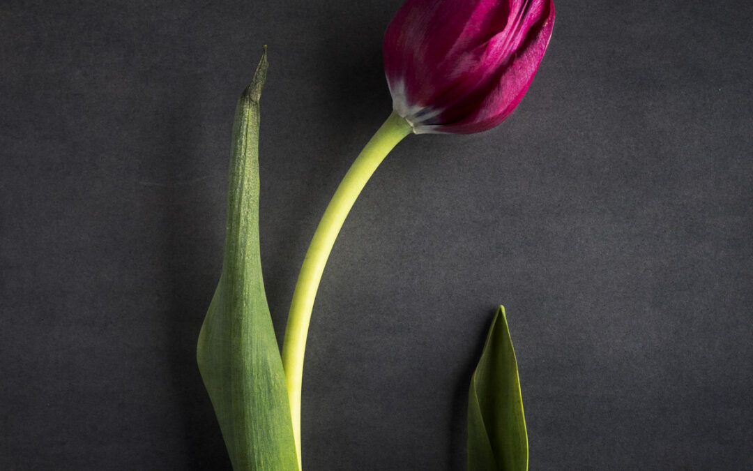 Protected: DURANGO: AUGUST 12, 2025: CLIENT STRATEGIES