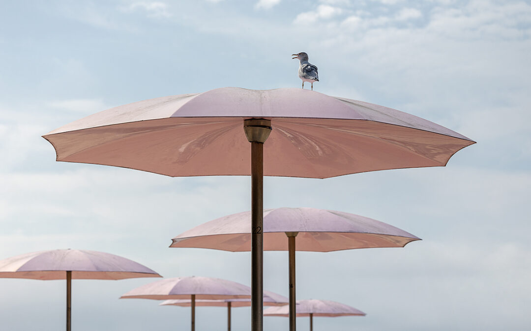 Protected: DURANGO: 9-30-2025