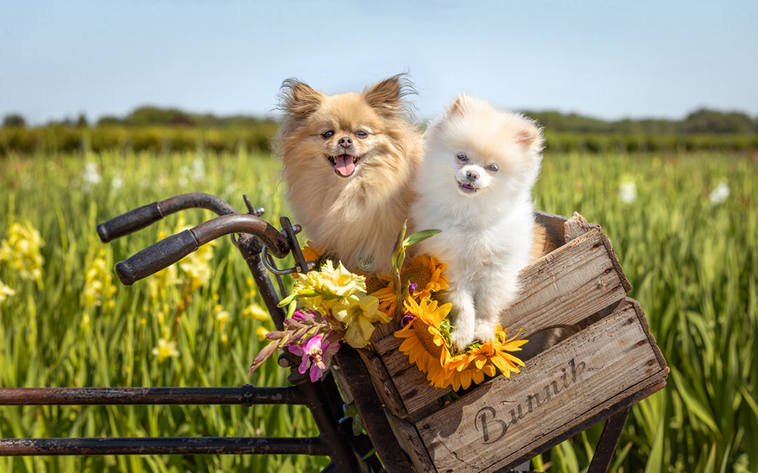 Protected: DURANGO: 8-9-2025: SEEING