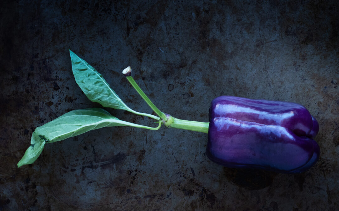 Protected: DURANGO: 9-23-2025: MAKE OR TAKE?