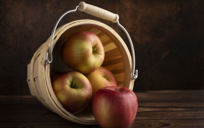 Protected: DURANGO 11-11-2025