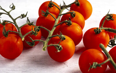 Protected: DURANGO: JANUARY 1, 2026: A NEW YEAR