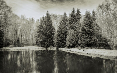 Protected: DURANGO 5-5-2026: .md FILES ?